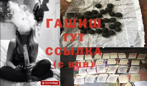 молекула духа Бородино