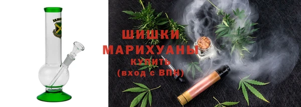молекула духа Бородино