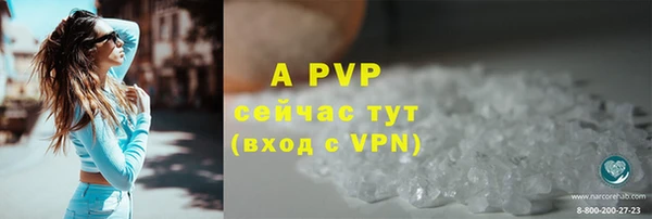 молекула духа Бородино