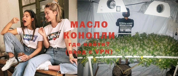 молекула духа Бородино