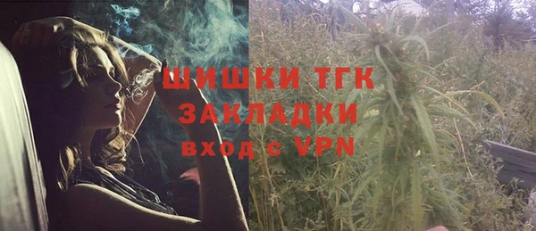 молекула духа Бородино