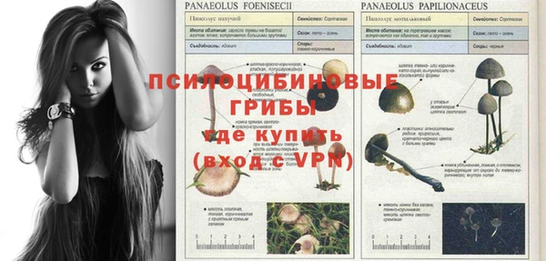 соль курить ск Бугульма