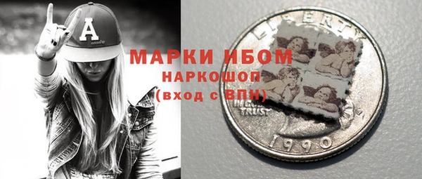 молекула духа Бородино