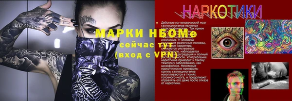 молекула духа Бородино