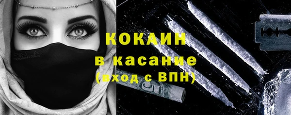 молекула духа Бородино