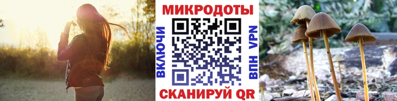 Галлюциногенные грибы GOLDEN TEACHER  Купить где  Туапсе 